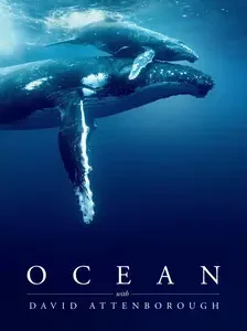 smart iptv ocean