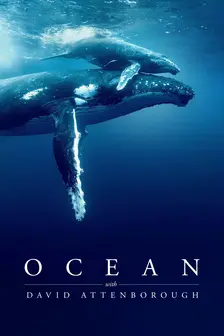 smart iptv ocean